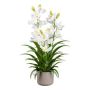 Plastová květina Cymbidium orchidej CANFOL, melaminový květináč, kořeny, bílá, 70cm