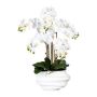 Umělá orchidej Phalaenopsis ZALBROK, dekorativní váza bílá, kořeny, bílá, 75cm