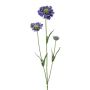 Dekorativní větvička Scabiosa ATLENTO, lila, 65cm