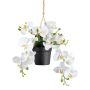 Umělá orchidej Phalaenopsis závěsný koš LARSAY, dekorativní květináč, bílá, 25cm