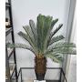 Umělá palma cycas WERFLI v ozdobném květináči, 110 cm