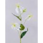 Umělá květina Gloriosa MAFIRNA, bílo-zelená, 80cm