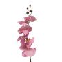 Dekorativní větvička orchideje phalaenopsis LANUA, růžová, 75cm