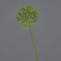 Umělá květina allium BAILIN, zelená, 40cm