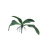 Umělé listy orchideje Phalaenopsis WUJUAN se vzdušnými kořeny, 35cm