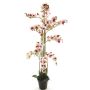 Umělá květina orchideje phalaenopsis CHENXU, růžovo-krémová, 140cm