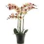Umělá květina orchideje phalaenopsis CHENXU, růžovo-krémová, 60cm
