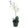 Umělá květina orchideje phalaenopsis CHENXU, bílá, 35cm