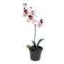 Umělá květina orchideje phalaenopsis CHENXU, růžovo-krémová, 35cm