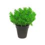 Umělá řeřicha MASHUO v dekorativním květináči, zelená, 20cm