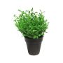 Umělý tymián MASHUO v dekoračním květináči, zelená, 17cm
