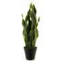 Umělý sukulent sansevieria ANQING v dekorativním květináči, zelenožlutý, 50cm