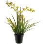 Umělá květina orchidej Cymbidum XINGUI, zeleno-červená, 70cm
