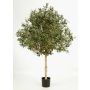 Umělý stromeček olivovník NIKOLAS, přírodní kmen, s plody, 180cm