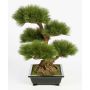 Umělý strom bonsai pínie TAYLOR, s kořeny, v keramické míse, 70cm
