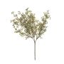 Dekorativní větvička asparagus acutifolius CHENMU, zeleno-červená, 50cm