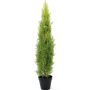 Plastová rostlina cypřiš MINNA, v okrasnem květináči, pro interiér i exteriér, světle zelená, 120cm