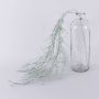 Tillandsia usneoides JARISA, zelenobílá, 105cm