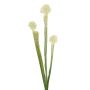 Umělá sukulentní rostlina Sarracenia SIMANA na tyčce, bílo-zelená, 65 cm