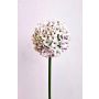 Umělé allium LOKJAN, bílo-fialové, 70cm