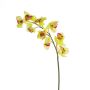 Plastová větev orchideje cymbidium OKSANA, žlulto-zelená, 80cm