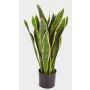 Umělá sansevieria BEYZA, zeleno-žlutá, 80cm