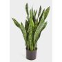 Umělá sansevieria BEYZA, zelená, 95cm