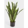 Umělá sansevieria BEYZA, zeleno-žlutá, 95cm