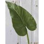 Umělý list zantedeschia YELLA, zelená, 85cm