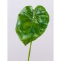 Umělecká plachta Anthurium GÜLSAH, zelená, 65cm