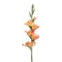 Umělá gladiola KIVANA, broskvová, 90 cm