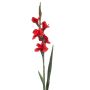 Umělá květina gladiola ANUVA, červená, 90 cm