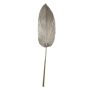 Dekorativní list palmy Washingtonia DAIANE, sušený, šampaňské, 100 cm