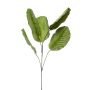 Umělá větev Calathea orbifolia KLINTO, zelenošedá, 115cm