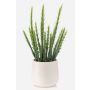 Umělý kaktus Euphorbia trigona NORSHE v ozdobném květináči, zelený, 28cm