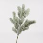 Umělá větev jedle THOMAS, zasněžená, 55cm
