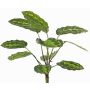 Umělá rostlina Calathea roseopicta WENFYN, plug-in tyč, zelená, 55cm