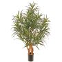 Umělý strom Dracaena reflexa anita SENFYN, přírodní stonky, zelená, 95cm