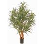 Umělý strom Dracaena reflexa anita SENFYN, přírodní stonky, zelená, 95cm