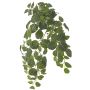Umělá rostlina Fittonia LONFYN, tyč, závěsná, zelená, 75cm
