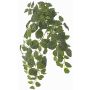 Umělá rostlina Fittonia LONFYN, tyč, závěsná, zelená, 75cm