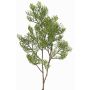 Dekorativní cypřišová větev SILVARIO, zelená, 75cm