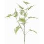 Dekorativní větvička Asparagus plumosus UHERA, zelená, 140cm