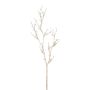 Dekorativní větev FRILOX s bobulemi, šampaňské, 85cm