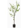 Umělý stromek nádherná nasturtium TUFFY, umělý kmen, zelený, 150cm