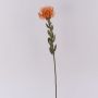 Umělý květinový polštářek Protea URMINE, suchý vzhled, oranžová, 60cm