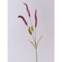 Dekorativní větvička trávy Liriope JELIKANTA s latami, burgundská, 60cm