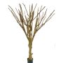 Umělý kmen stromu bez listí MAKOA, s větvičky, hnědá, 220cm