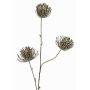 Umělý polštářek Protea KAPO s třpytkami, olivově zelený, 85cm, Ø8cm
