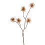 Umělá větvička čarověníku NUMBAT s květy, oranžová, 70cm, Ø5cm